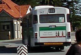 Transperth Mercedes O305 Bolton